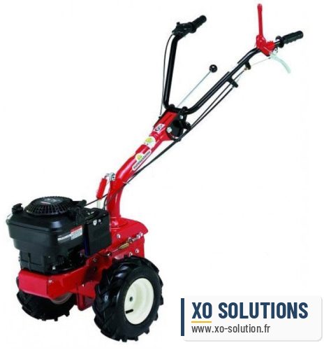 Cellule motrice p55 eurosystems multifonctions briggs et stratton 5.5cv 163cc avec démarrage électrique